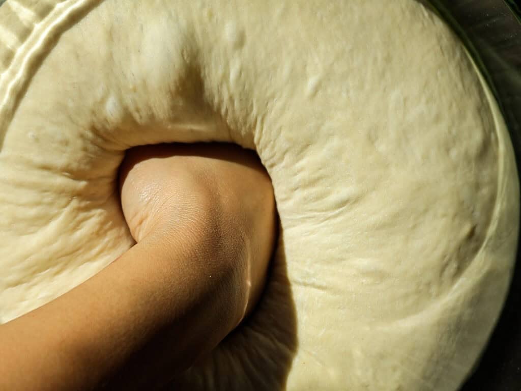 A hand presses into soft, rising dough in a bowl, with sunlight highlighting the texture.